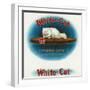 White-Cat Brand Cigar Box Label, Persian Cat-Lantern Press-Framed Art Print