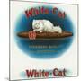 White-Cat Brand Cigar Box Label, Persian Cat-Lantern Press-Mounted Art Print