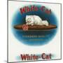 White-Cat Brand Cigar Box Label, Persian Cat-Lantern Press-Mounted Premium Giclee Print