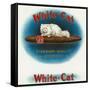 White-Cat Brand Cigar Box Label, Persian Cat-Lantern Press-Framed Stretched Canvas