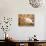 White Cat in Autumn Leaves-Rudi Von Briel-Photographic Print displayed on a wall