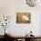 White Cat in Autumn Leaves-Rudi Von Briel-Mounted Photographic Print displayed on a wall