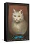 White Cat-null-Framed Stretched Canvas