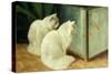 White Cats Watching Goldfish-Arthur Heyer-Stretched Canvas