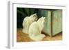 White Cats Watching Goldfish-Arthur Heyer-Framed Giclee Print