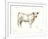 White Cattle I-Ethan Harper-Framed Art Print