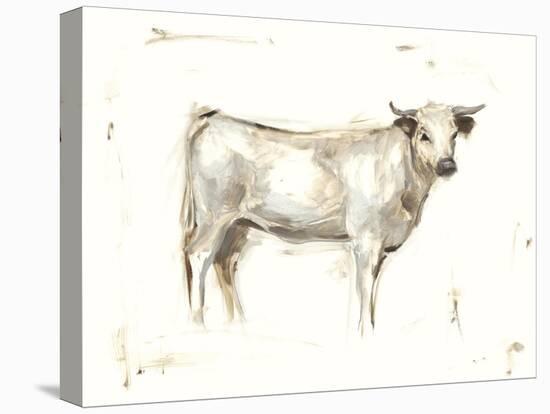 White Cattle I-Ethan Harper-Stretched Canvas