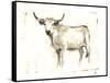 White Cattle II-Ethan Harper-Framed Stretched Canvas