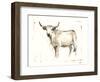 White Cattle II-Ethan Harper-Framed Art Print