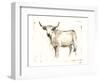 White Cattle II-Ethan Harper-Framed Art Print