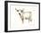 White Cattle II-Ethan Harper-Framed Art Print