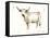 White Cattle II-Ethan Harper-Framed Stretched Canvas