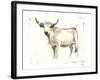 White Cattle II-Ethan Harper-Framed Art Print