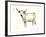White Cattle II-Ethan Harper-Framed Art Print