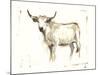 White Cattle II-Ethan Harper-Mounted Art Print