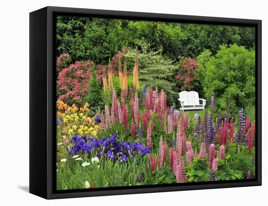 White Chair in Flower Garden-Steve Terrill-Framed Stretched Canvas