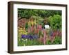 White Chair in Flower Garden-Steve Terrill-Framed Premium Photographic Print