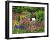 White Chair in Flower Garden-Steve Terrill-Framed Premium Photographic Print