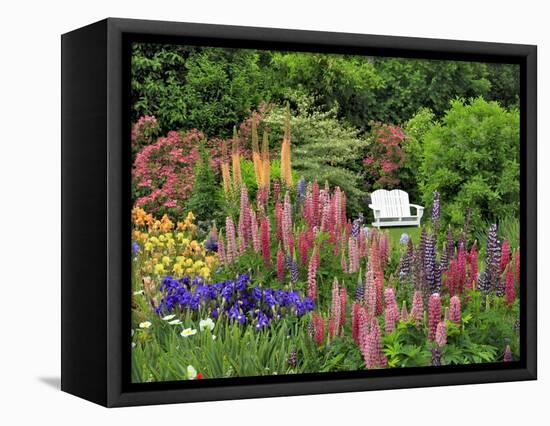 White Chair in Flower Garden-Steve Terrill-Framed Stretched Canvas