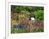 White Chair in Flower Garden-Steve Terrill-Framed Photographic Print