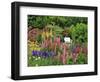 White Chair in Flower Garden-Steve Terrill-Framed Photographic Print