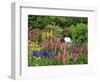 White Chair in Flower Garden-Steve Terrill-Framed Photographic Print