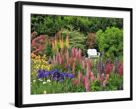 White Chair in Flower Garden-Steve Terrill-Framed Photographic Print