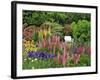 White Chair in Flower Garden-Steve Terrill-Framed Photographic Print