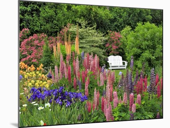 White Chair in Flower Garden-Steve Terrill-Mounted Photographic Print