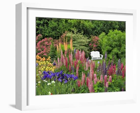 White Chair in Flower Garden-Steve Terrill-Framed Photographic Print