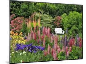 White Chair in Flower Garden-Steve Terrill-Mounted Photographic Print