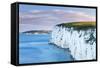 White Chalk Cliffs Near Old Harry Rocks, Jurassic Coast, Dorset, England, United Kingdom-John Alexander-Framed Stretched Canvas