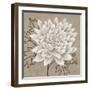 White Chalk Flower 1-Ariane Martine-Framed Art Print