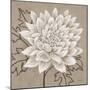 White Chalk Flower 1-Ariane Martine-Mounted Art Print