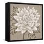 White Chalk Flower 1-Ariane Martine-Framed Stretched Canvas