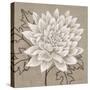 White Chalk Flower 1-Ariane Martine-Stretched Canvas