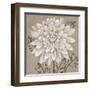 White Chalk Flower 2-Ariane Martine-Framed Art Print