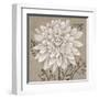 White Chalk Flower 2-Ariane Martine-Framed Art Print