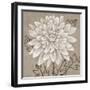 White Chalk Flower 2-Ariane Martine-Framed Art Print