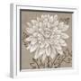 White Chalk Flower 2-Ariane Martine-Framed Art Print