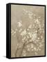 White Cherry Blossom I Neutral Crop Bird-Danhui Nai-Framed Stretched Canvas