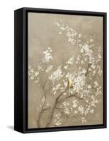 White Cherry Blossom I Neutral Crop Bird-Danhui Nai-Framed Stretched Canvas