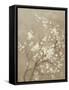 White Cherry Blossom I Neutral Crop Bird-Danhui Nai-Framed Stretched Canvas