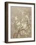 White Cherry Blossom I Neutral Crop Bird-Danhui Nai-Framed Art Print