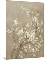 White Cherry Blossom I Neutral Crop Bird-Danhui Nai-Mounted Art Print