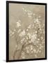 White Cherry Blossom I Neutral Crop Bird-Danhui Nai-Framed Art Print