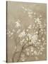 White Cherry Blossom I Neutral Crop Bird-Danhui Nai-Stretched Canvas