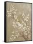 White Cherry Blossom II Neutral Crop Bird-Danhui Nai-Framed Stretched Canvas