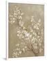 White Cherry Blossom II Neutral Crop Bird-Danhui Nai-Framed Art Print