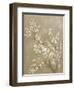 White Cherry Blossom II Neutral Crop Bird-Danhui Nai-Framed Art Print